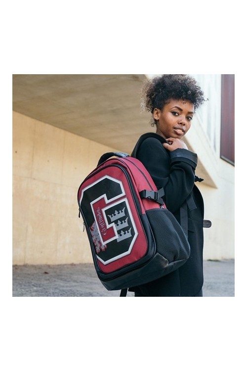 Plecak Szkolny Harry Potter Bordowy Duży 30A - 